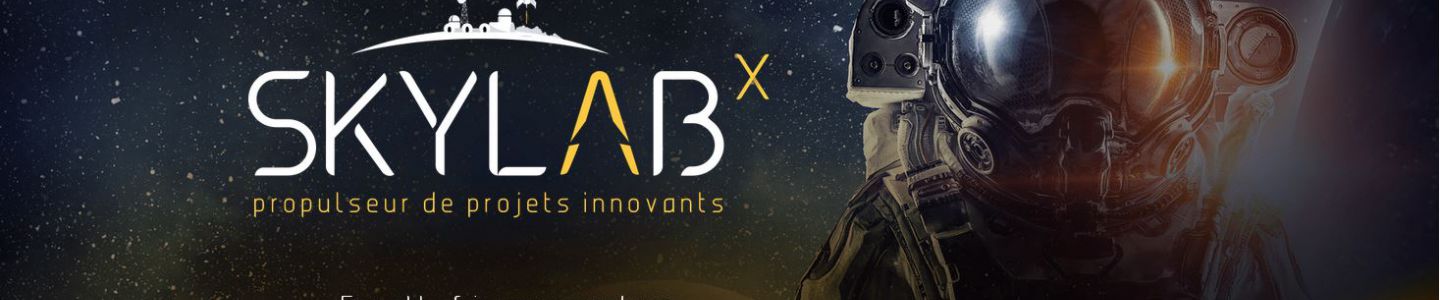SKYLAB X